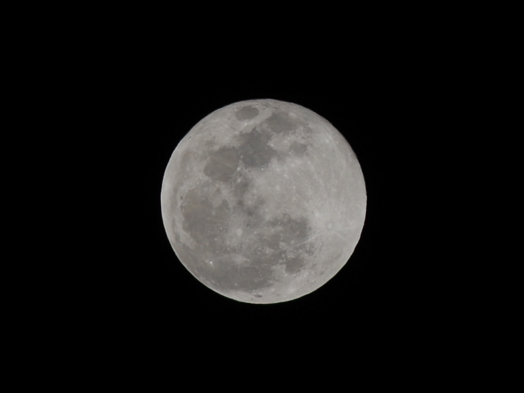 K-50+FA☆200mmF2.8：300mm相当：1024×768pixelでトリミング